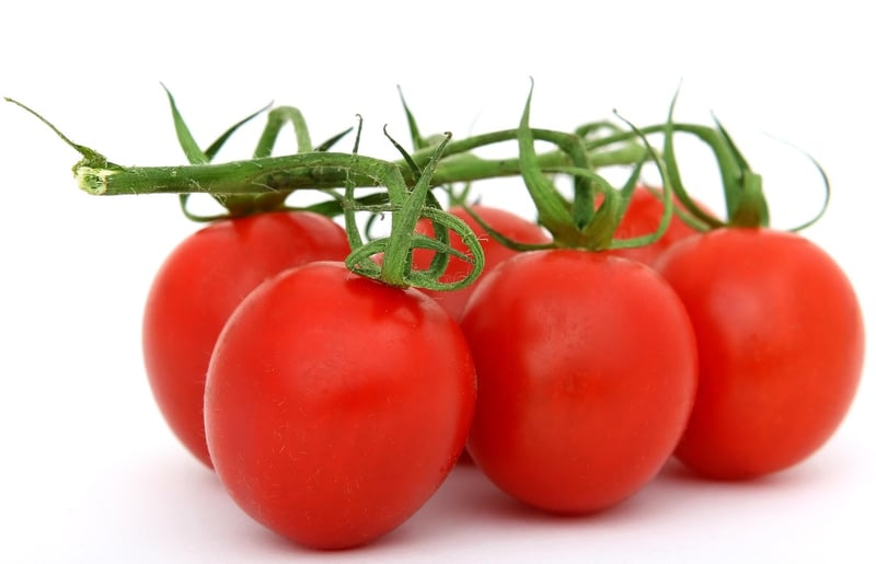 Plant-Based Trends