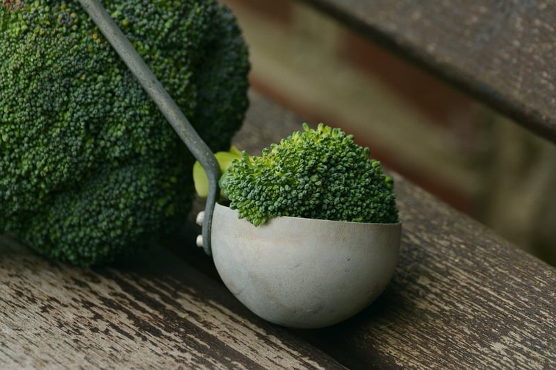 Plant-Based Protein